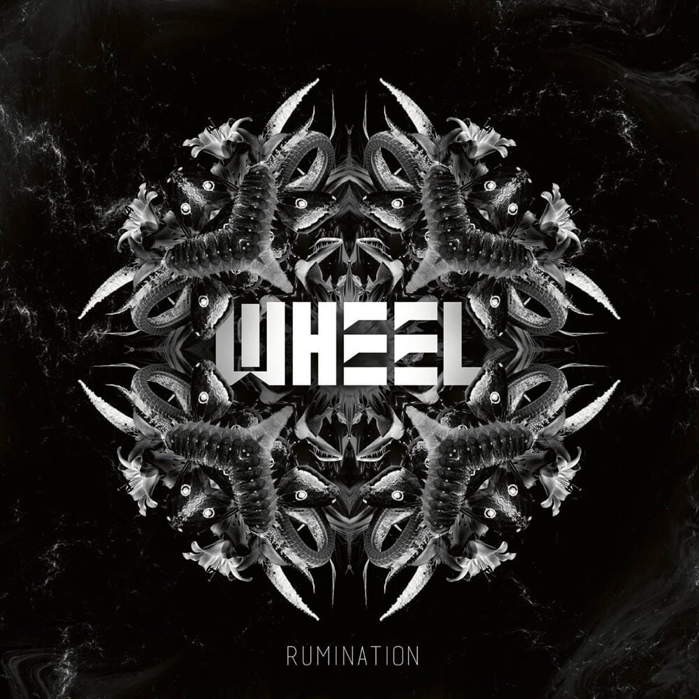 wheel rumination